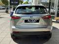 Lexus NX 300h 2.5 Corporate 2WD + Navibox Grau - thumbnail 5