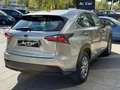 Lexus NX 300h 2.5 Corporate 2WD + Navibox Grau - thumbnail 36