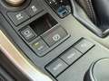 Lexus NX 300h 2.5 Corporate 2WD + Navibox Grau - thumbnail 13