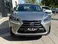 Lexus NX 300h 2.5 Corporate 2WD + Navibox Grau - thumbnail 3