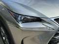 Lexus NX 300h 2.5 Corporate 2WD + Navibox Grau - thumbnail 35