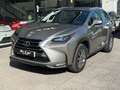 Lexus NX 300h 2.5 Corporate 2WD + Navibox Grau - thumbnail 2