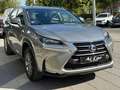 Lexus NX 300h 2.5 Corporate 2WD + Navibox Grau - thumbnail 34