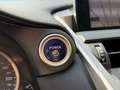 Lexus NX 300h 2.5 Corporate 2WD + Navibox Grau - thumbnail 17