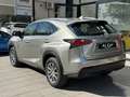 Lexus NX 300h 2.5 Corporate 2WD + Navibox Grau - thumbnail 4