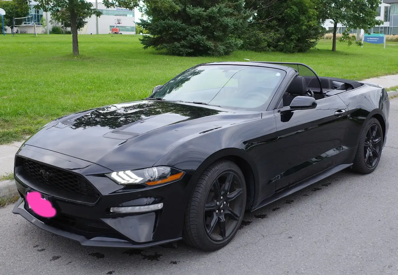 2019 Ford Mustang