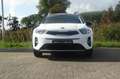 Kia Stonic 1.0 T-GDi 100PK Sports Edition | Navigatie | Camer Weiß - thumbnail 5
