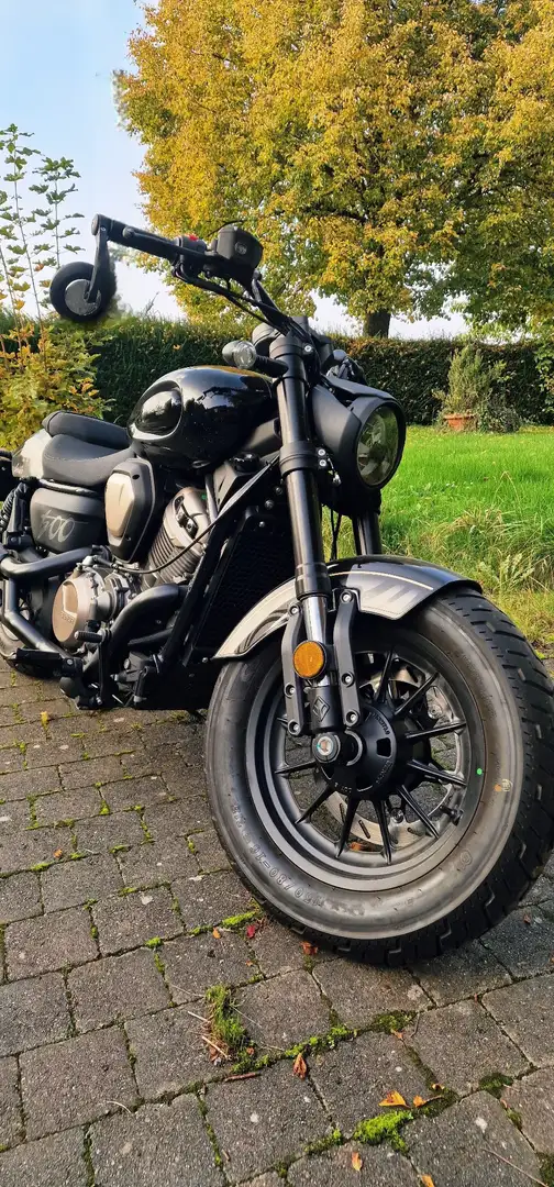 Benda Chinchilla 500 Noir - 2