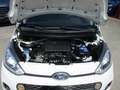 Hyundai i10 Klima, Scheckheft gepflegt Weiß - thumbnail 10