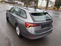 Skoda Octavia Combi Ambition AHK LED netto 11995€ Gris - thumbnail 6