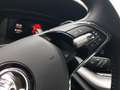 Skoda Octavia Combi Ambition AHK LED netto 11995€ Gris - thumbnail 41