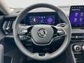 Skoda Kodiaq Selection 4x4 TDI DSG|PANO|AHK|NAVI|19" Grau - thumbnail 13