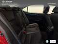 Lexus IS 300 300h Executive Burdeos - thumbnail 7