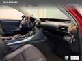 Lexus IS 300 300h Executive Burdeos - thumbnail 6