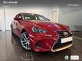 Lexus IS 300 300h Executive Burdeos - thumbnail 12