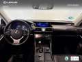 Lexus IS 300 300h Executive Burdeos - thumbnail 8