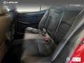 Lexus IS 300 300h Executive Burdeos - thumbnail 16