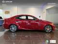 Lexus IS 300 300h Executive Burdeos - thumbnail 3
