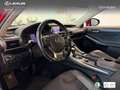 Lexus IS 300 300h Executive Burdeos - thumbnail 20