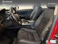Lexus IS 300 300h Executive Burdeos - thumbnail 15