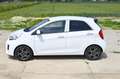 Kia Picanto 1.2 CVVT First Ed. Navigatie Weiß - thumbnail 8