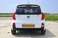 Kia Picanto 1.2 CVVT First Ed. Navigatie Weiß - thumbnail 11