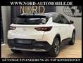 Opel Grandland X 1.5 D INNOVATION *LED*ACC*LEDER*360° Innovation Weiß - thumbnail 10