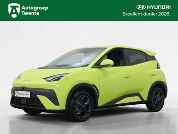 Comfort 43 kWh | Incl. € 2.000 ACTIE | Leder |