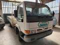 Nissan Cabstar Bianco - thumbnail 2