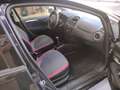 Fiat Punto Evo 5p 1.4 natural power Dynamic 70cv - thumbnail 14