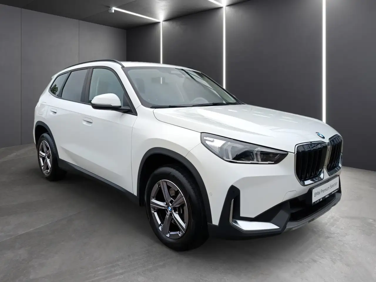 BMW X1, фото 3