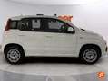 Fiat Panda 1.2 Easy Blanco - thumbnail 7