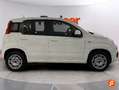Fiat Panda 1.2 Easy Blanco - thumbnail 24