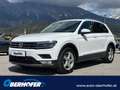 Volkswagen Tiguan Comfortline 2.0 TDI SCR Weiß - thumbnail 1
