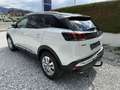 Peugeot 3008 1,5 BlueHDi 130 S&S EAT8 GT Line Aut. Weiß - thumbnail 4