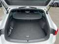 SEAT Leon SP FR 1.5eTSI 110kW (150PS)*DSG*ACC*RFK*SHZ*GJR*K Weiß - thumbnail 15