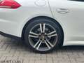 Porsche Panamera Panamera 3.0 300 CV RESTYLING,LED,FULL Bianco - thumbnail 7