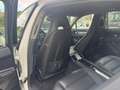Porsche Panamera Panamera 3.0 300 CV RESTYLING,LED,FULL Bianco - thumbnail 10