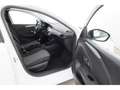 Opel Corsa F 1.2 Edition+CARPLAY+KLIMA+PDC Wit - thumbnail 22