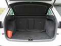 SEAT Ateca 2.0 TDI Xperience 4Drive NAVI 360° STD. Blanc - thumbnail 6