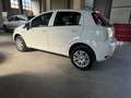 Fiat Punto 5p 1.4 natural power Lounge 70cv E6 - thumbnail 5