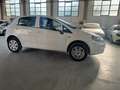 Fiat Punto 5p 1.4 natural power Lounge 70cv E6 - thumbnail 4