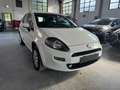 Fiat Punto 5p 1.4 natural power Lounge 70cv E6 - thumbnail 3