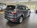 Ford Kuga ST-Line 4x4 Grau - thumbnail 3