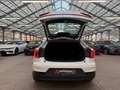 Polestar 2 Polestar 2  Navi|Sitzhzg|Kamera Weiß - thumbnail 6
