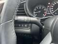 Mazda CX-30 2.0 e-SkyActiv-X M Hybrid Luxury , NL-Auto, 1e eig Blauw - thumbnail 14