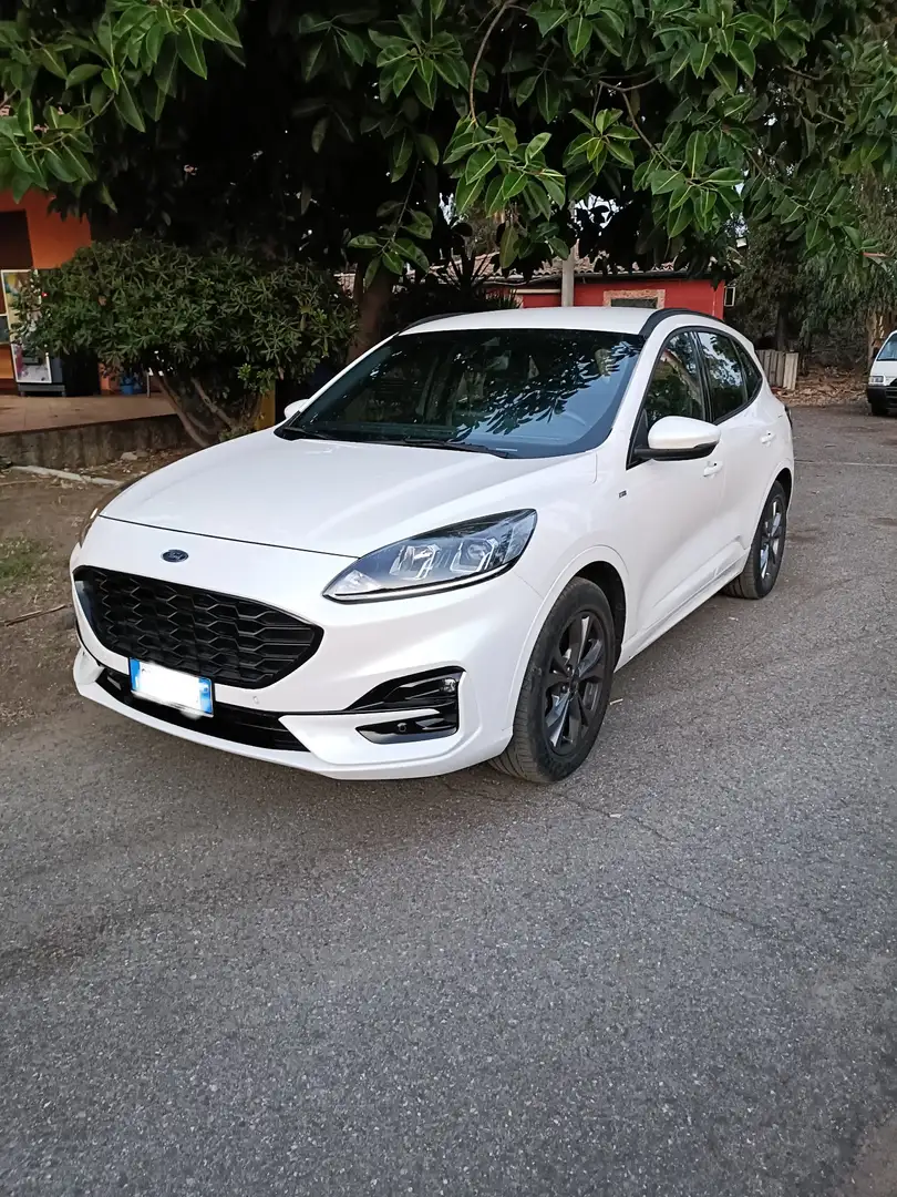 Ford Kuga 1.5 ecoblue ST-Line 2wd 120cv auto - 2