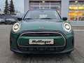 MINI Cooper Cabrio Sports.LED Sitzh.KomfZ.DAB PDC Alu Grün - thumbnail 3