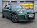 MINI Cooper Cabrio Sports.LED Sitzh.KomfZ.DAB PDC Alu Grün - thumbnail 4