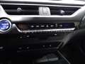 Lexus UX 250h F Sport Cuero 2WD Nero - thumbnail 13